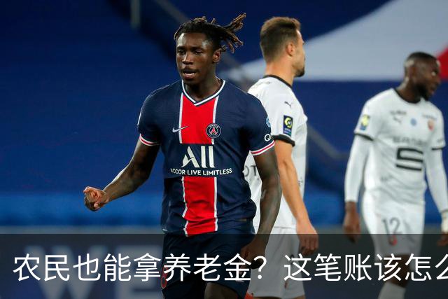 农民也能拿养老金？这笔账该怎么算！