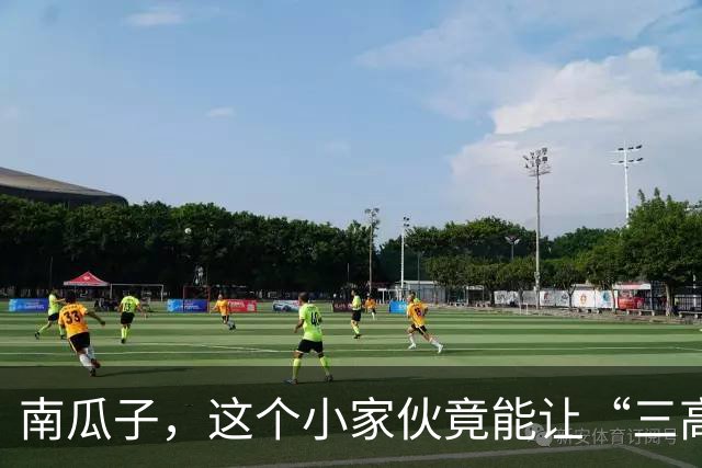 南瓜子，这个小家伙竟能让“三高”患者变身健康达人？