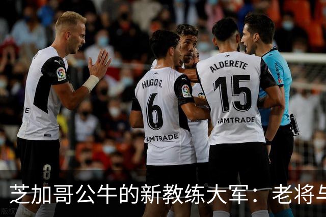 芝加哥公牛的新教练大军：老将与新鲜血液的完美交融！